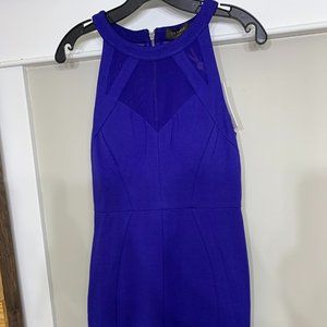 NWT Ted Baker Jashmee Mesh Insert Bodycon Dress